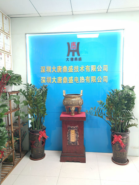 Chine Shenzhen Datang Dingsheng Technology Co., Ltd. 